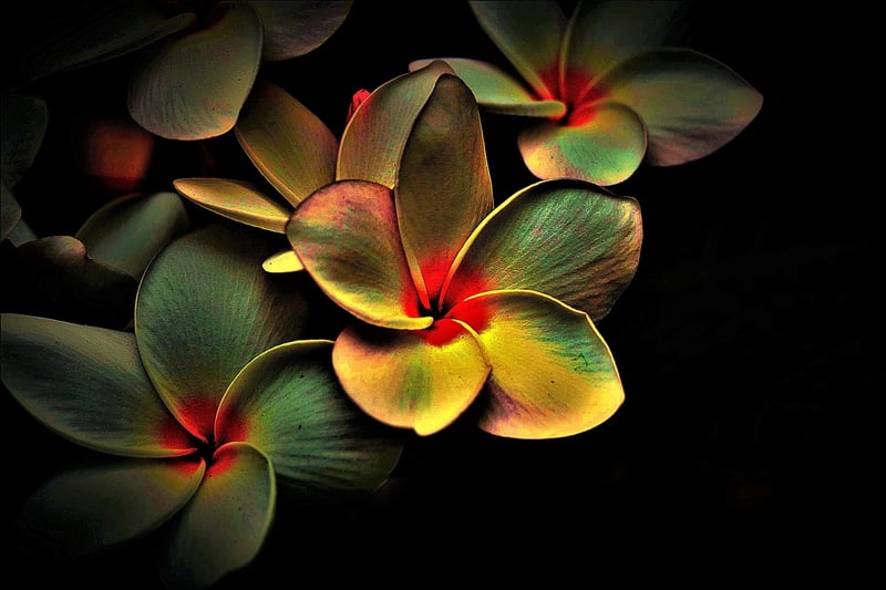 Stillness